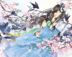 桃花源 原 小黄人 最新版